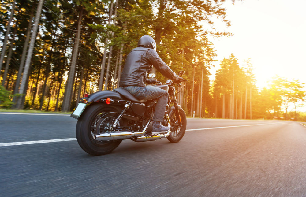 Image of a person riding their motorcycle down a tree-lined road